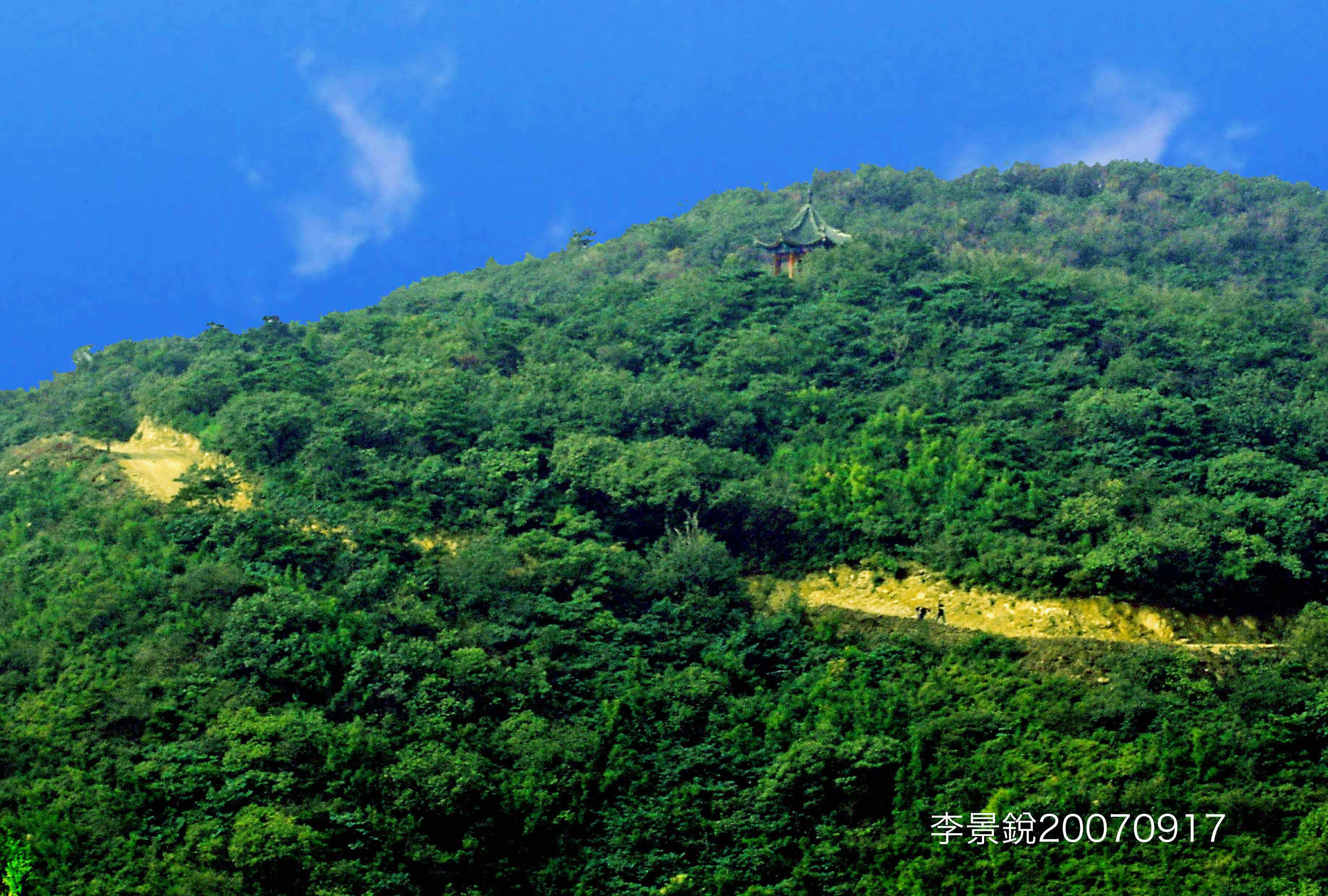 Summer Photo of Pagoda